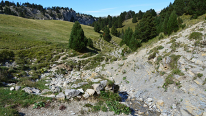 Recherche de fuite d'eau Challans